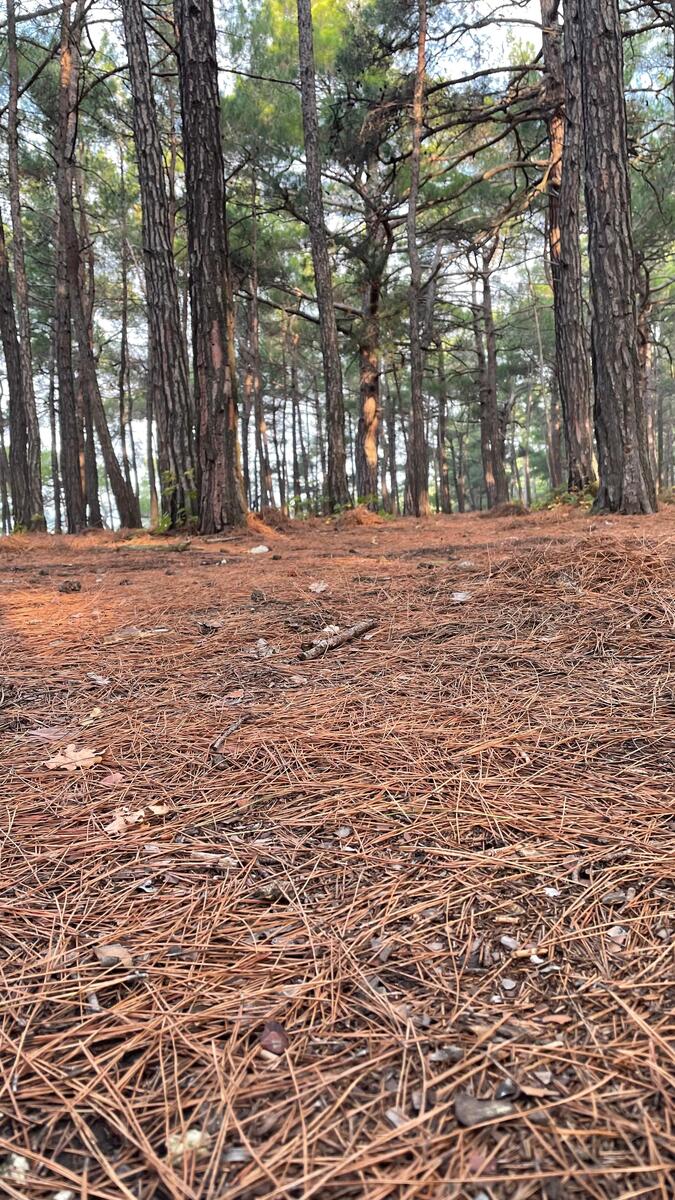 Пеший поход из Дивноморска в Джанхот