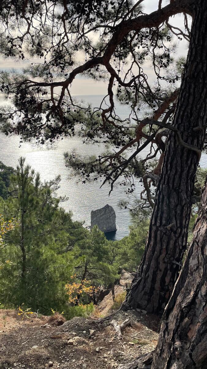 dzhanhot-skala-parus (16)