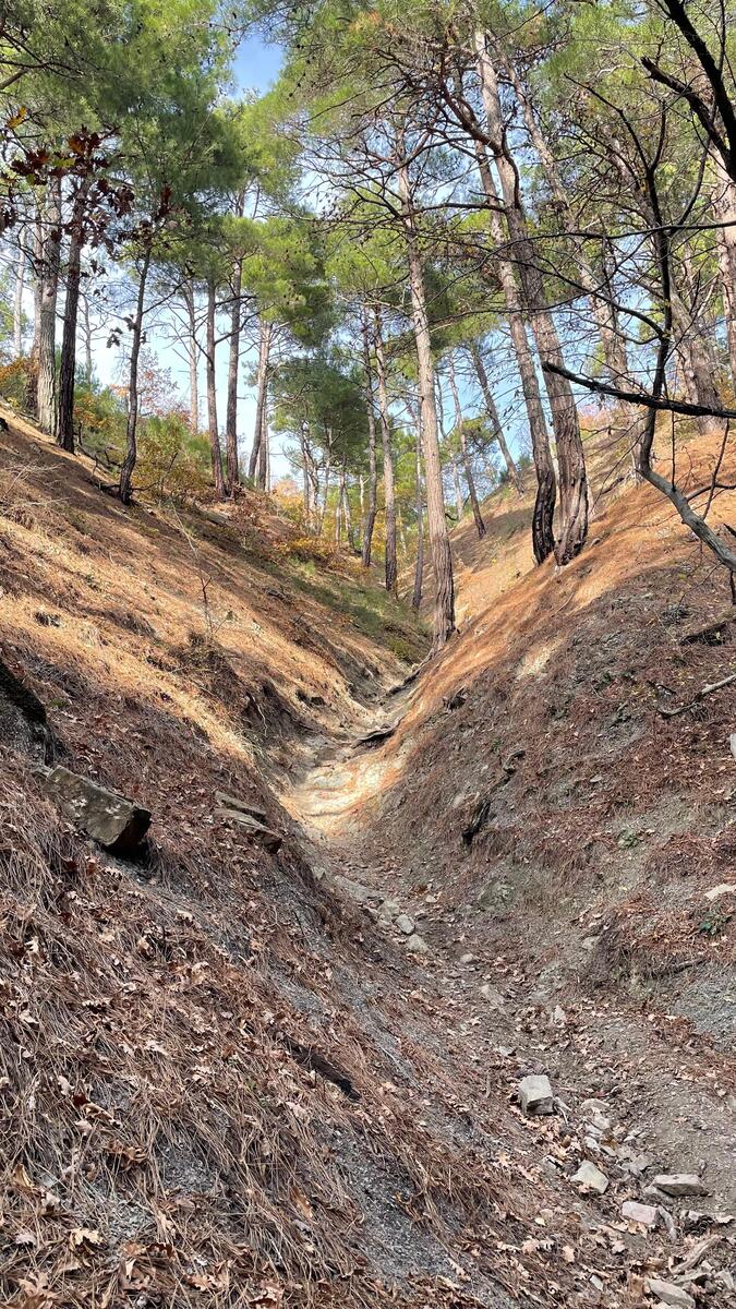 dzhanhot-skala-parus (5)
